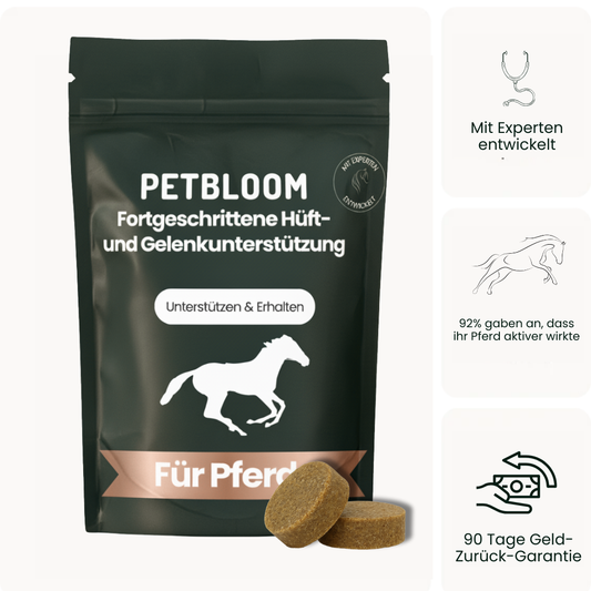 Pferde Gelenksnacks