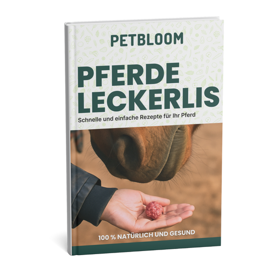 GESCHENK: E-Book: Schnelle & gesunde Rezepte für Pferde