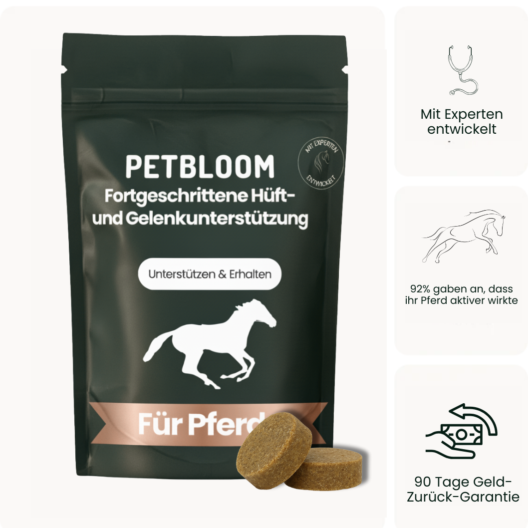 Pferde Gelenksnacks