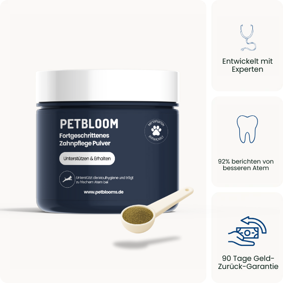 Dentalpulver