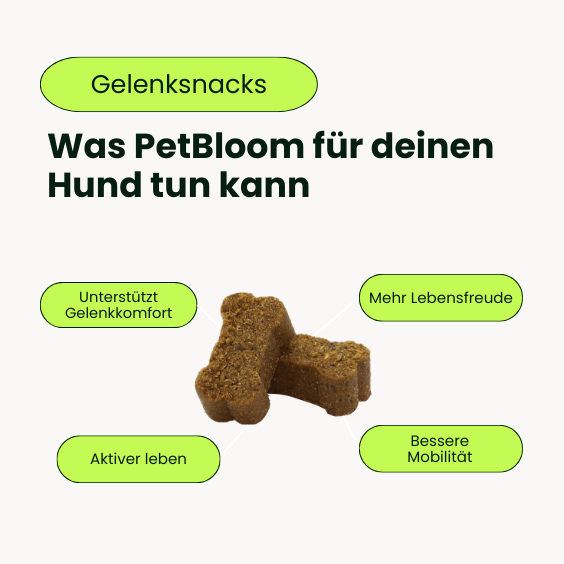 Gelenk Snacks