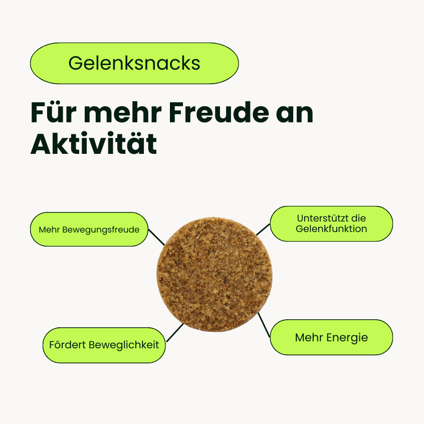 Pferde Gelenksnacks